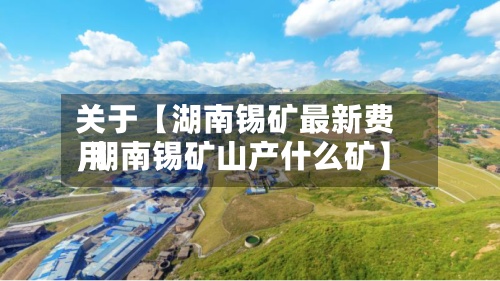 关于【湖南锡矿最新费用
,湖南锡矿山产什么矿】-第3张图片