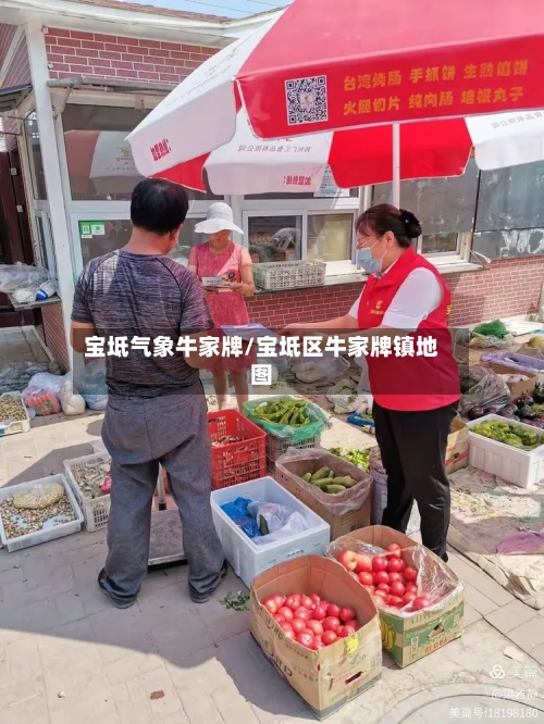 宝坻气象牛家牌/宝坻区牛家牌镇地图