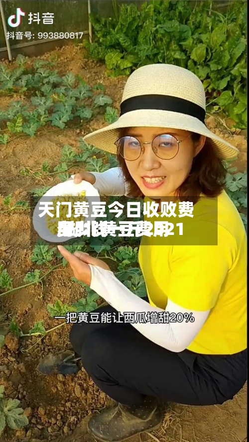 天门黄豆今日收败费用
/湖北黄豆费用
多少钱一斤2021