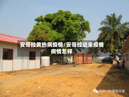 安哥拉黄热病疫情/安哥拉近来疫情病情怎样