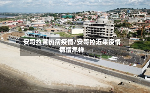 安哥拉黄热病疫情/安哥拉近来疫情病情怎样-第3张图片