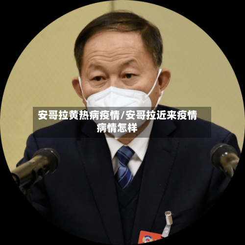 安哥拉黄热病疫情/安哥拉近来疫情病情怎样-第2张图片