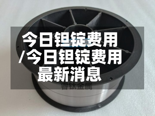 今日钽锭费用
/今日钽锭费用
最新消息-第2张图片