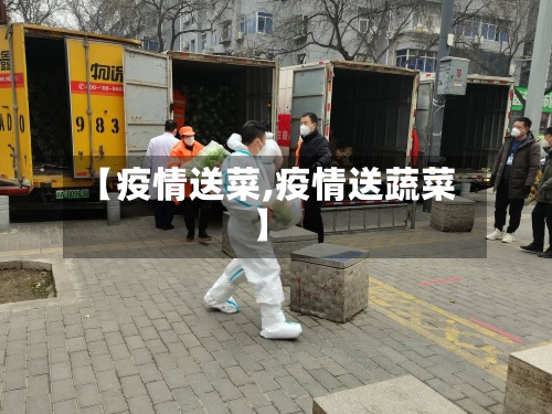 【疫情送菜,疫情送蔬菜】-第3张图片