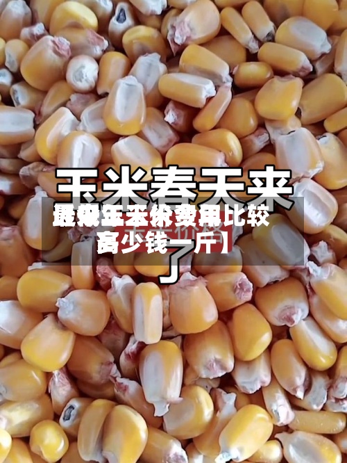 近来
【今年玉米费用
最低玉米价今年比较高
多少钱一斤】-第3张图片