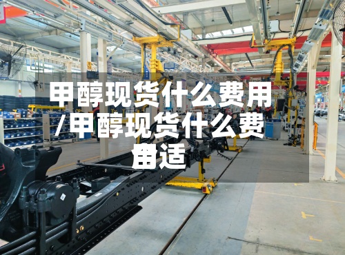 甲醇现货什么费用/甲醇现货什么费用合适