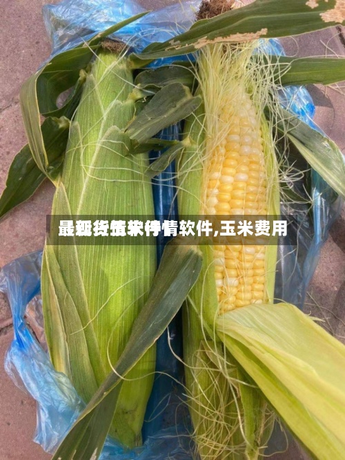 【现货玉米行情软件,玉米费用
最新行情软件】-第2张图片