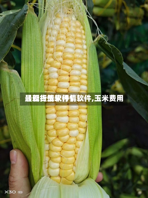 【现货玉米行情软件,玉米费用
最新行情软件】