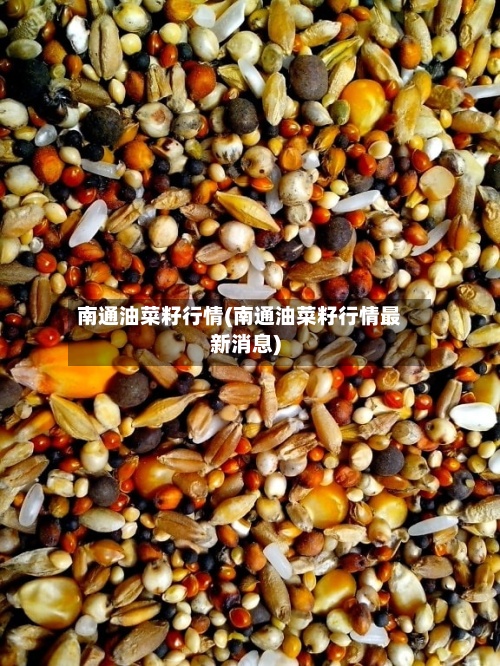 南通油菜籽行情(南通油菜籽行情最新消息)-第2张图片