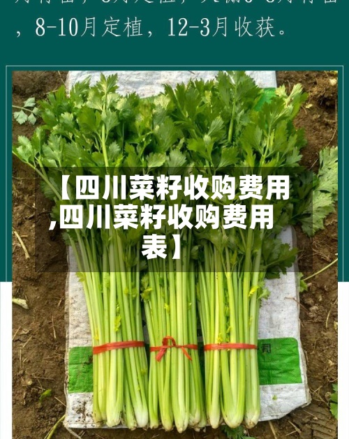 【四川菜籽收购费用
,四川菜籽收购费用
表】-第3张图片