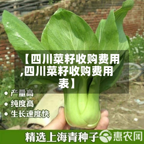 【四川菜籽收购费用
,四川菜籽收购费用
表】