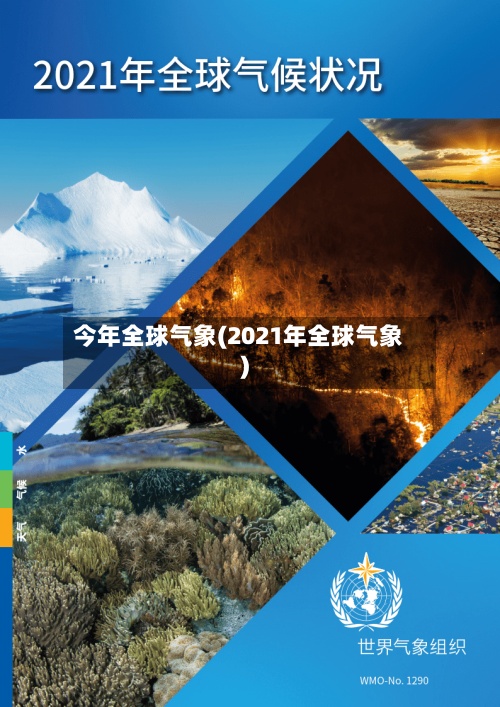 今年全球气象(2021年全球气象)-第2张图片