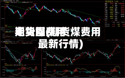 期货煤费用走势图(期货煤费用最新行情)