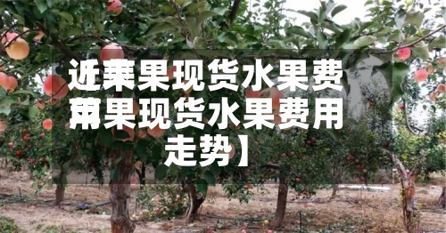 近来
【苹果现货水果费用
苹果现货水果费用
走势】-第3张图片