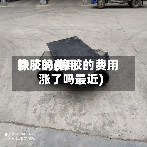 橡胶的费用涨了吗(橡胶的费用涨了吗最近)