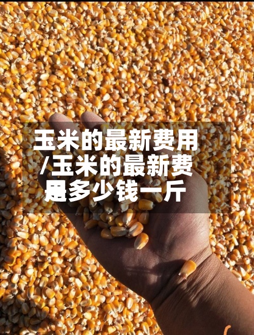 玉米的最新费用
/玉米的最新费用
是多少钱一斤