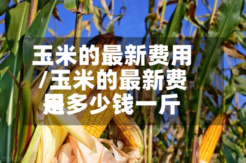 玉米的最新费用
/玉米的最新费用
是多少钱一斤-第2张图片