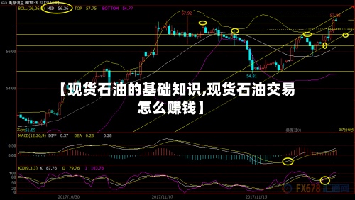 【现货石油的基础知识,现货石油交易怎么赚钱】-第2张图片