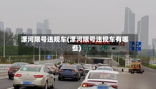 漯河限号违规车(漯河限号违规车有哪些)