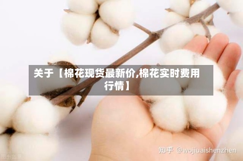 关于【棉花现货最新价,棉花实时费用
行情】-第2张图片