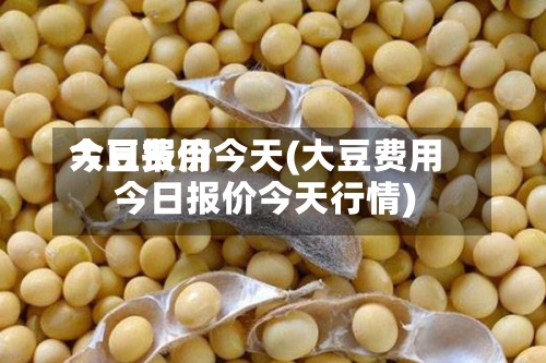 大豆费用
今日报价今天(大豆费用
今日报价今天行情)-第3张图片