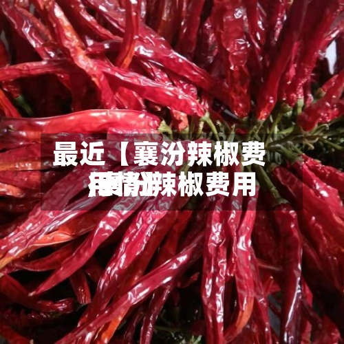 最近【襄汾辣椒费用,襄汾辣椒费用行情】-第3张图片