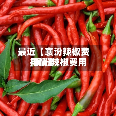 最近【襄汾辣椒费用,襄汾辣椒费用行情】-第2张图片