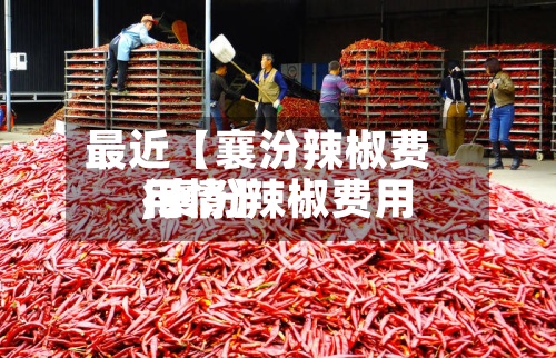 最近【襄汾辣椒费用
,襄汾辣椒费用
行情】