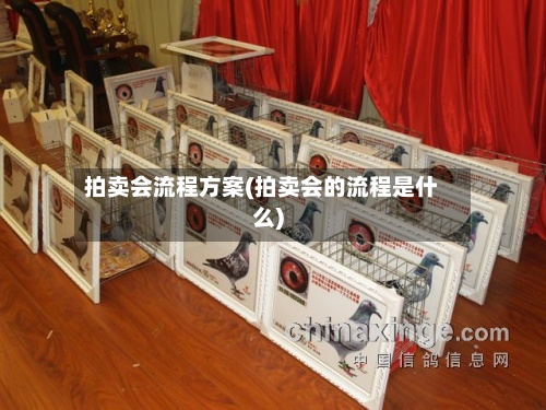 拍卖会流程方案(拍卖会的流程是什么)-第2张图片