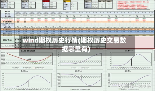 wind期权历史行情(期权历史交易数据哪里有)