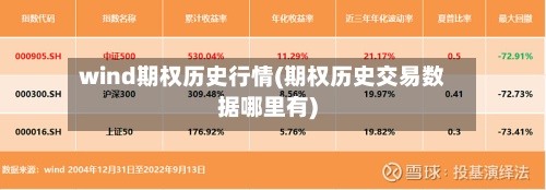 wind期权历史行情(期权历史交易数据哪里有)-第3张图片