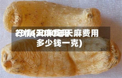 2016天麻费用行情(2020年天麻费用多少钱一克)