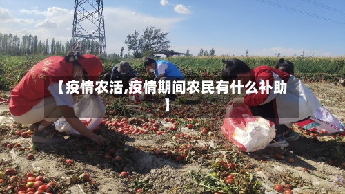 【疫情农活,疫情期间农民有什么补助】-第2张图片