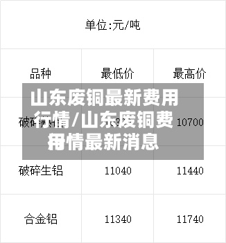 山东废铜最新费用
行情/山东废铜费用
行情最新消息