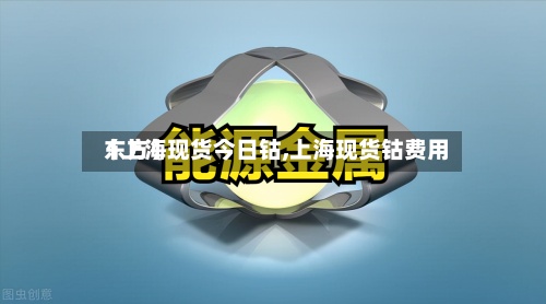 【上海现货今日钴,上海现货钴费用
东方】-第2张图片