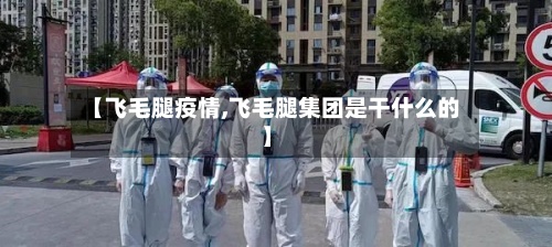 【飞毛腿疫情,飞毛腿集团是干什么的】-第2张图片