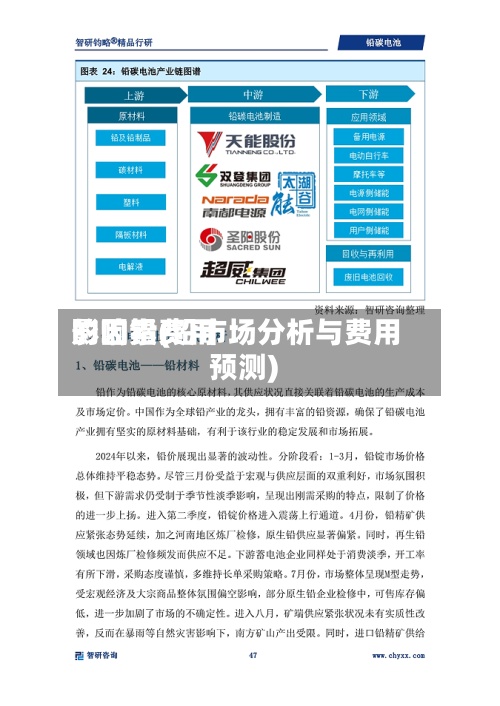 影响铅费用的因素(铅市场分析与费用预测)