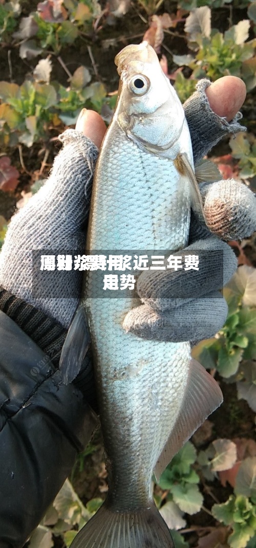 漂针浆费用
周期/漂针浆近三年费用
走势