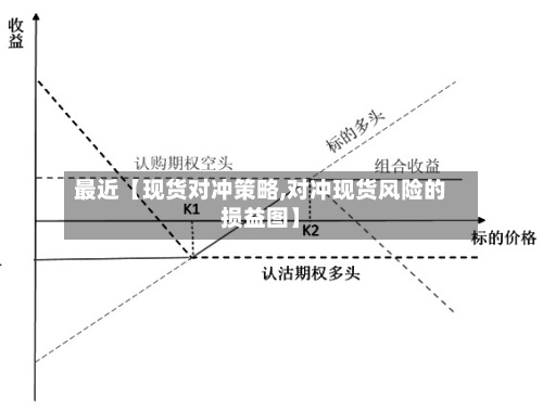 最近【现货对冲策略,对冲现货风险的损益图】-第3张图片