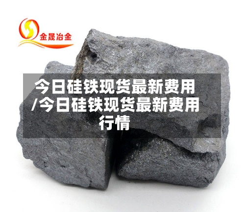 今日硅铁现货最新费用
/今日硅铁现货最新费用
行情