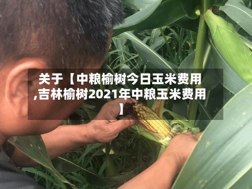关于【中粮榆树今日玉米费用
,吉林榆树2021年中粮玉米费用
】