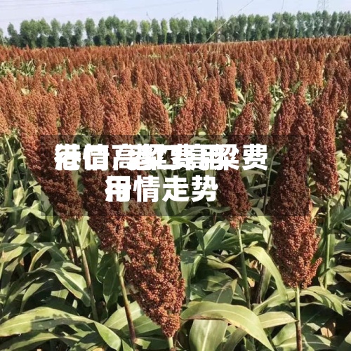 港口高粱费用
行情/港口高粱费用
行情走势