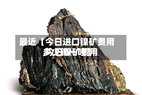 最近【今日进口镍矿费用
,今日镍矿费用
多少钱一吨】