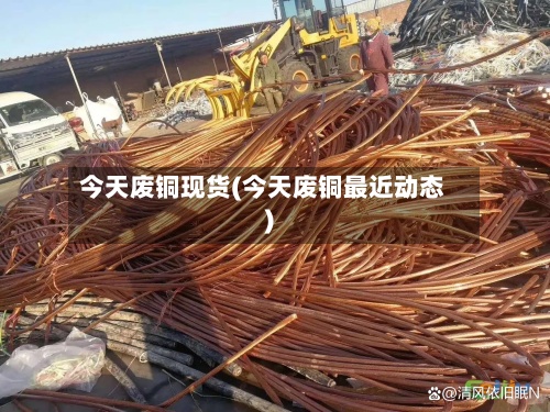 今天废铜现货(今天废铜最近动态)