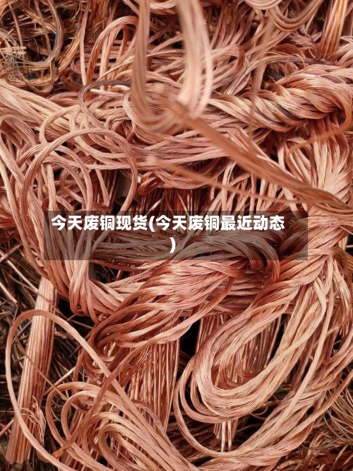 今天废铜现货(今天废铜最近动态)-第2张图片