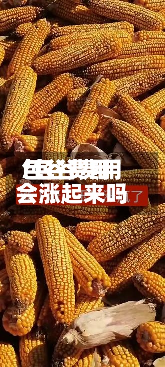 包谷费用
/包谷费用
会涨起来吗