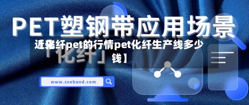 近来【化纤pet的行情pet化纤生产线多少钱】