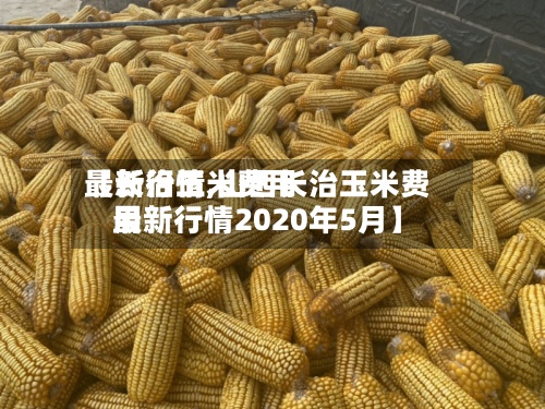 【长治玉米费用最新行情,山西长治玉米费用最新行情2020年5月】-第2张图片