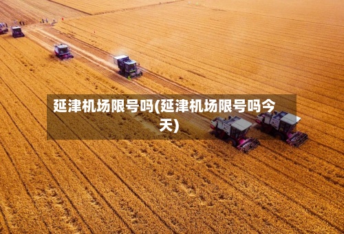 延津机场限号吗(延津机场限号吗今天)