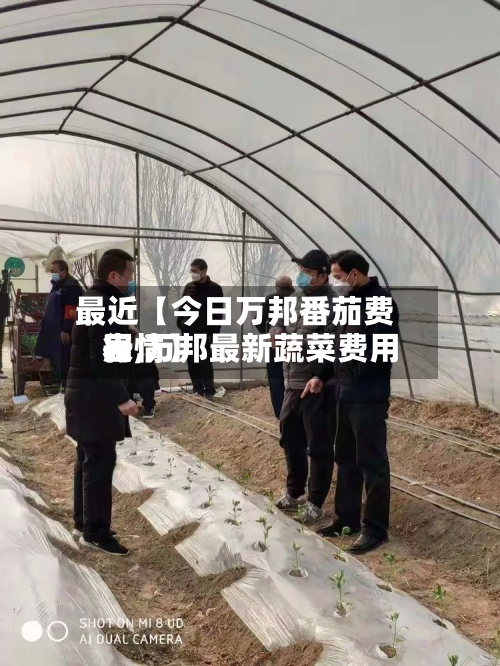 最近【今日万邦番茄费用
表,万邦最新蔬菜费用
行情】